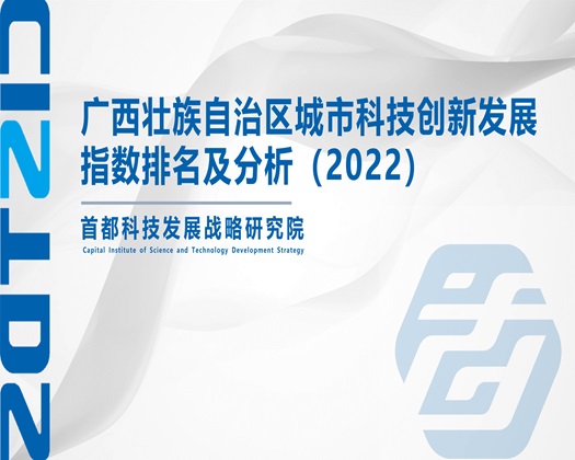 日逼isese【成果发布】广西壮族自治区城市科技创新发展指数排名及分析（2022）